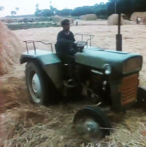 80年代的农村打场压麦，现在在农村也很少见了